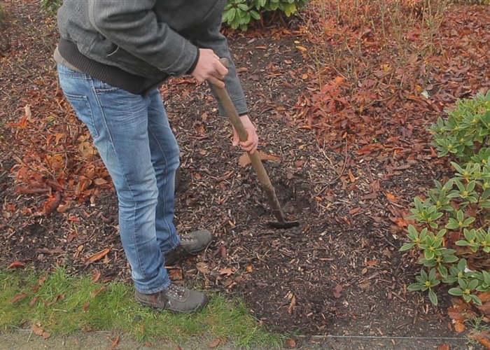 garten richter delitzsch